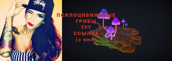 скорость Бородино