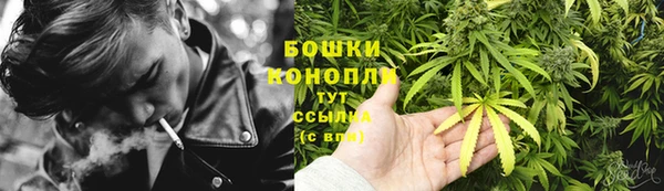 гидропоника Бронницы