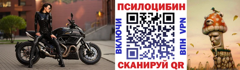 Галлюциногенные грибы прущие грибы  Купить  Плавск 